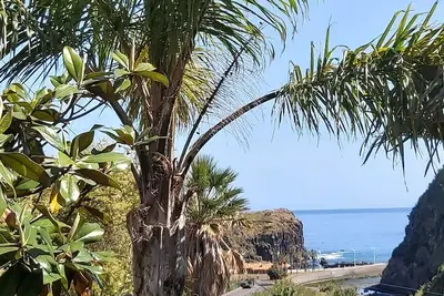 Image de Resilient paradise