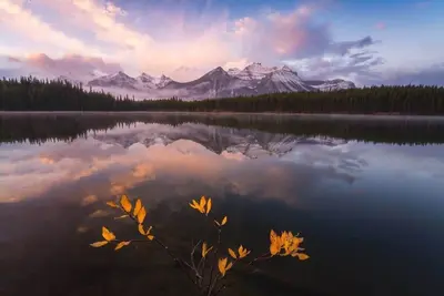 Image de ⭐⭐⭐⭐⭐The Elliot by Samsara |2br&2. 5bathroom