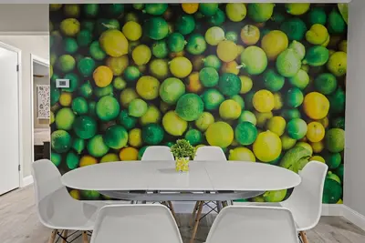 Tranquil Pool Home in Clearwater