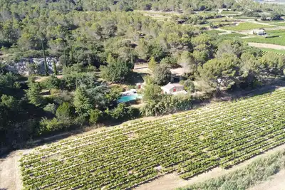 Image de Vue unique sur camp de César & Vignobles - 2 Mazets sur colline -