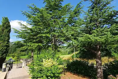 Image de Apartment Garden Goga