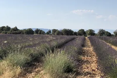 Image de À 300m Centre du village, appartement avec jardin dans 1 maison verdoyante\/calme