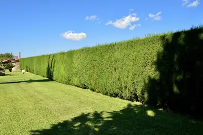 Image de Villa Vedesa