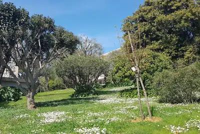 Image de 3 pièces lumineux dans résidence verdoyante