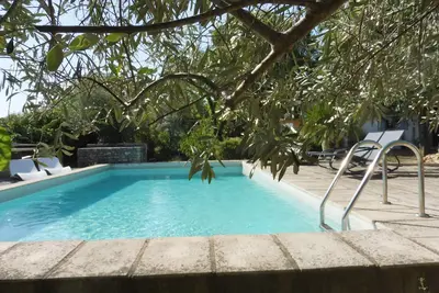Image de Les fées papillons un petit coin dans la garrigue nimoise