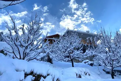 Image de Willow Way - A Dream Wooden Cottage in Himalayas