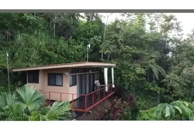 Image de Tiny Home Above The Tree Tops