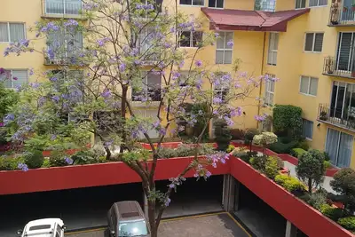Image de Enjoy the best location on Mexico City in San Angel