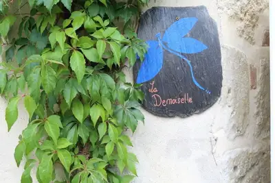 Image de La Demoiselle