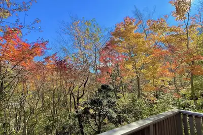 Image de Natural hot spring, Villa with a view of autumn leaves and mountains, Towada stone bath, Newly rebuilt by Sumitomo Forestry, Fireworks and Bbq are welcome, Four Seasons Garden and free parking lot
