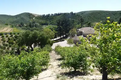 Image de Cottage in Organic Lemon Orchard - Southern California FarmStay - Pet-friendly!