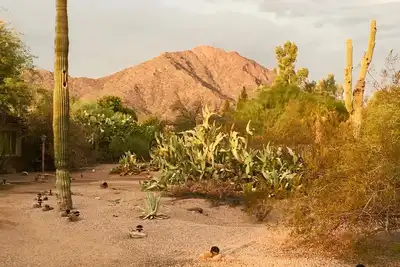 Image de Heart of Scottsdale near Old Town