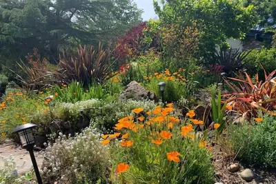 Image de Relax in a Landscaped Paradise w/ 4Bdr Home, Amazing Santa Cruz Landscaped paradise