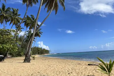 Image de Cozy and central apartment facing the beach