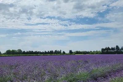 Image de Gîte La petite Violette deux étoiles