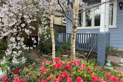 Image de Kedumba Cottage:Gorgeous home 2 minute walk to town🍂