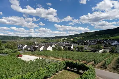 Image de Ferienwohnung \"laurentiusblick\" mit Panoramablick in den Weinbergen von Leiwen