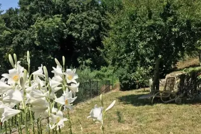 Image de Country apartment with private garden