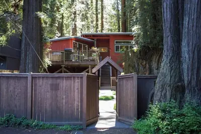 Image de Pumpkin House Summary