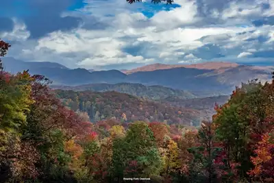 Image de Fall in Love - Fall Specials! Serene Cabin - Fireplace - Hot Tub  -  Parking