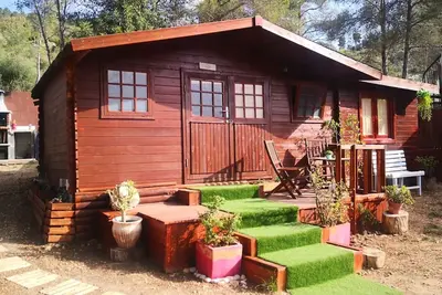 Image de Petite maison en bois avec piscine et barbecue (Animaux acceptés)