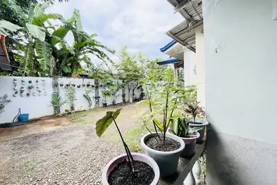 Image de cosy room garden