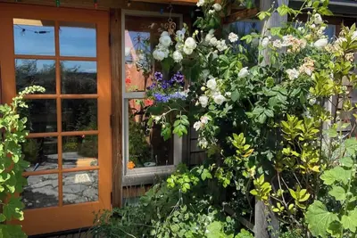 Image de Bright art-filled home, fruit trees, valley view
