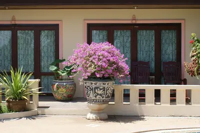 Image de Large and luxury Apartment with panoramic seaview, at 80 m high, a quiet place.