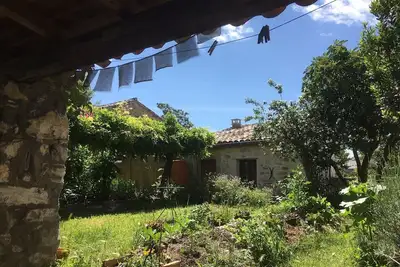 Image de Mazet dans le jardin au centre ville