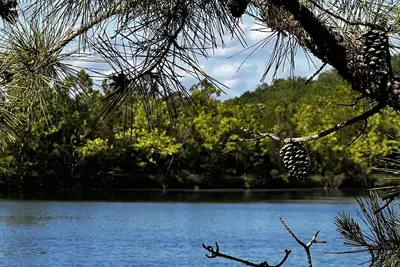Image de Lake Longbow-10 acre Stocked lake, 80 acres, 4-wheeler/walking trails, swimming