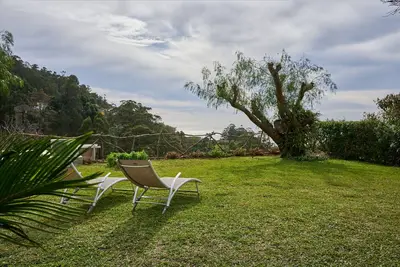 Image de Casas Maravilha - Árvore by Madeira Sun Travel