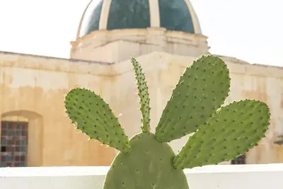 Image de Prickly Pear Houses Favignana