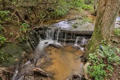 Image de Gingershack Farms