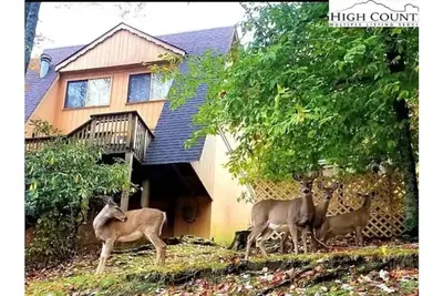 Image de Beech Mountain Townhome 3/2, Heated pool, Hot tub, hiking, 0. 5 mil to Ski slopes