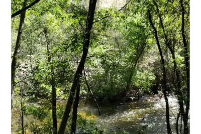 Image de Secluded Riverfront Moon River Retreat- Spa\/ Hot tub, Game Room, Gym
