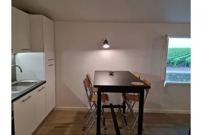 Image de Charmant T2 au cœur des vignes