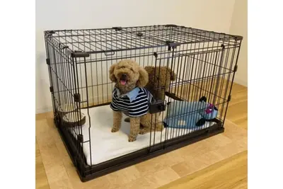 Image de Staying with your dog is Ok With kitchen and wash / Fukuoka Fukuoka