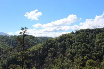 Image de Christmas and New Years in Smoky Mountains 4 Bedroom