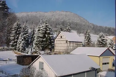 Image de Cozy half-timbered house in the low mountain range of Hesse Thuringia