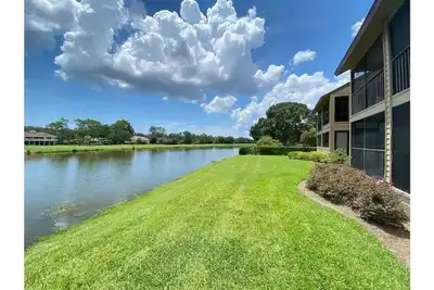 Image de The Cedar, Lake View!