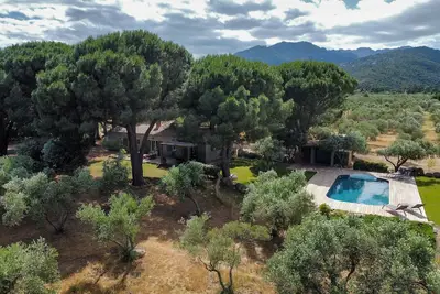 Image de Zinzala: Bergerie avec piscine situé en plein coeur d'une oliveraie