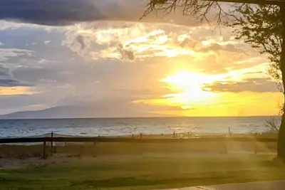 Image de Whale Season Special! Last minute cancelation! Book Now!