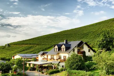 Image de Quiet apartment with balcony overlooking the vineyards for 2-4 people