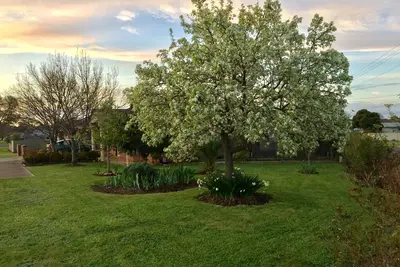 Image de Bird Abode Accommodation in central Maryborough