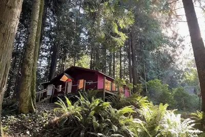 Image de Forested Cottage in the Woods, near Olympic Park