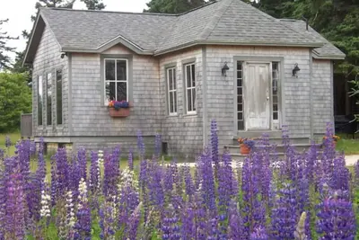Image de Sunlit Cottage on Crockett Cove