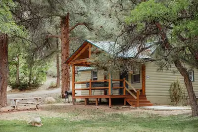 Image de C-101) The Bluebird Cabin