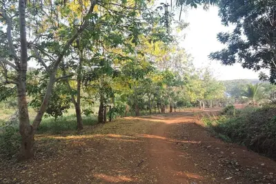 Image de Banlung Eco-Lodge Tanam