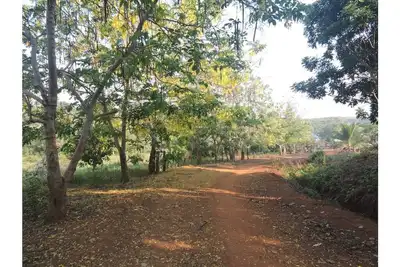Image de Banlung Eco-Lodge Tanam(Mountain View)
