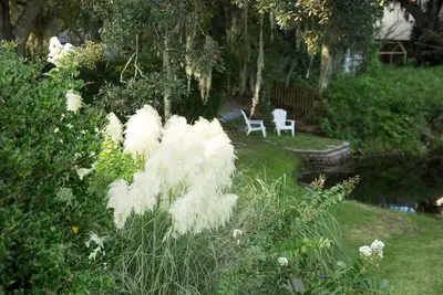 Image de Idyllic Island Retreat Lots of Space and Elegance!